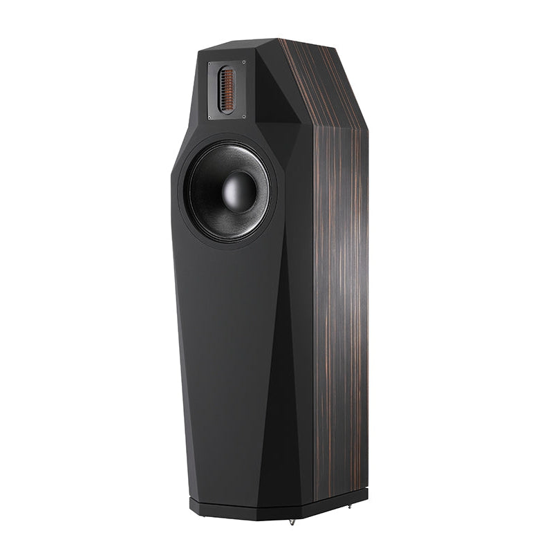 FinkTeam Borg Floorstanding Speakers - Standard Finish at Audio Influence