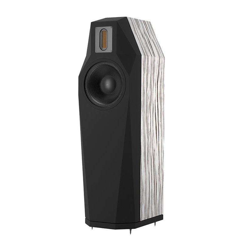 FinkTeam Borg Floorstanding Speakers - Non-Standard Finish Savannah with Black front at Audio Influence