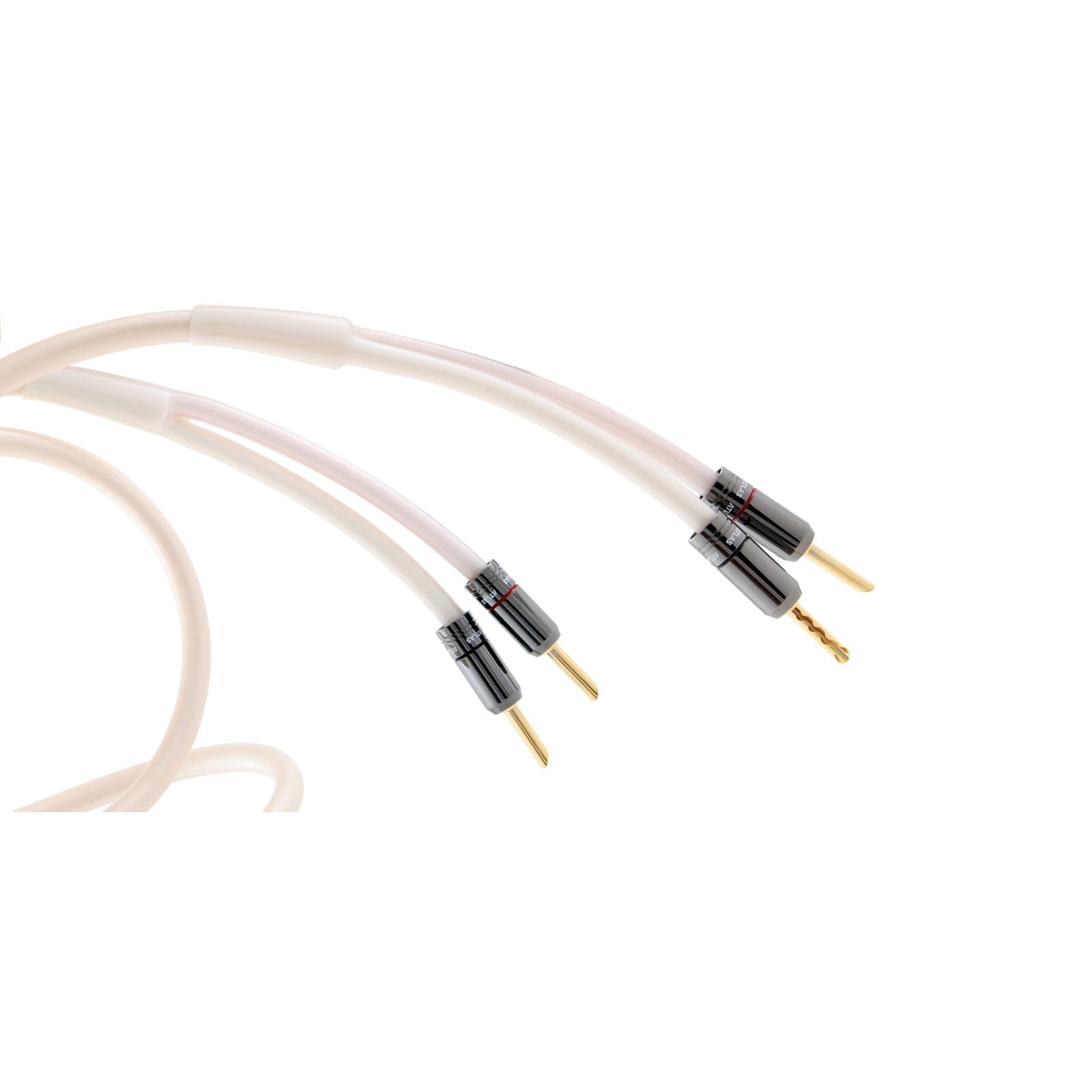 Atlas Equator 2.0 Speaker Cable (100mt reel) at Audio Influence