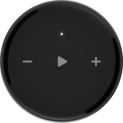 WIIMMINI WIIM Mini Wireless Audio Streamer
