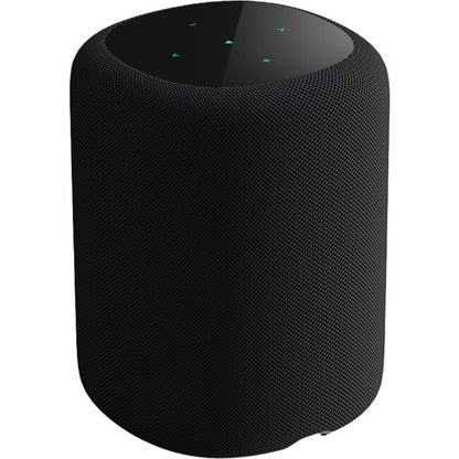 WiiM-SOUND-BK COMPACT Smart Speaker With Display