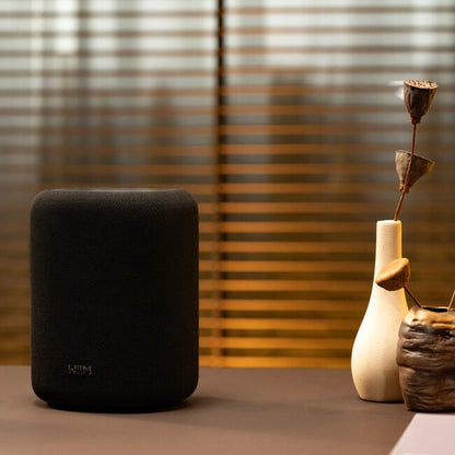 WIIM-SOUNDLITE-BK HI RES Audio Display Free Smart Speaker