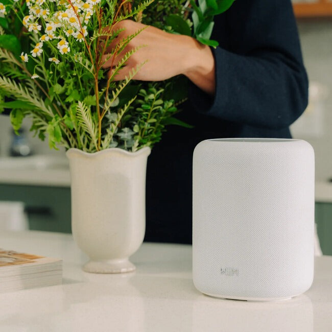WIIM-SOUNDLITE-BK HI RES Audio Display Free Smart Speaker