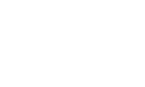 Audio Influence footer logo