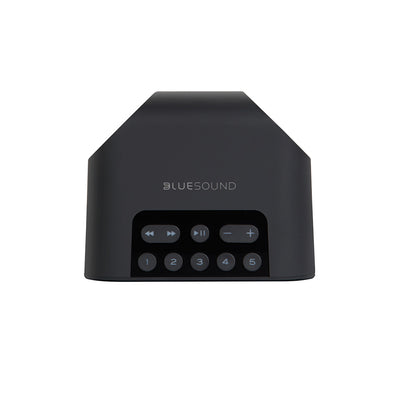Bluesound Pulse Flex 2i Compact Wireless Speaker