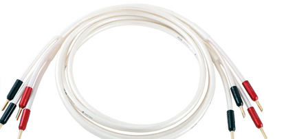 Atlas Equator Achromatic Speaker Z/S 3.5