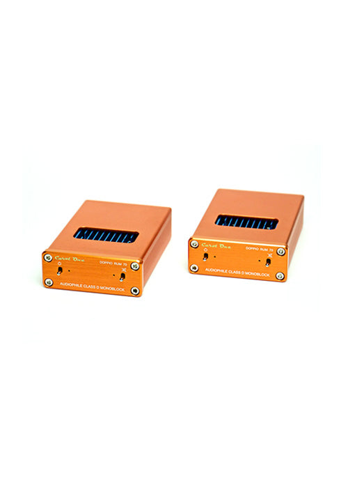Carot One Doppio Rum 70 Mono Power Amplifier
