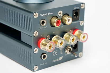 Carot One Ernestolo 10th Anniversary Tube Amplifier