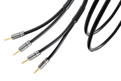 Atlas Hyper Speaker 5.0 R1