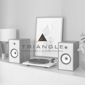 Triangle HiFi logo