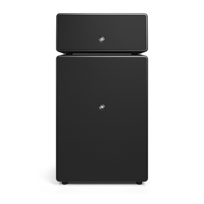 Audio Pro Drumfire II W Wi-Fi Wireless Multiroom Speaker