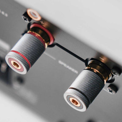 AVM Ovation SA 8.3 Stereo Amplifier connectors at Audio Influence