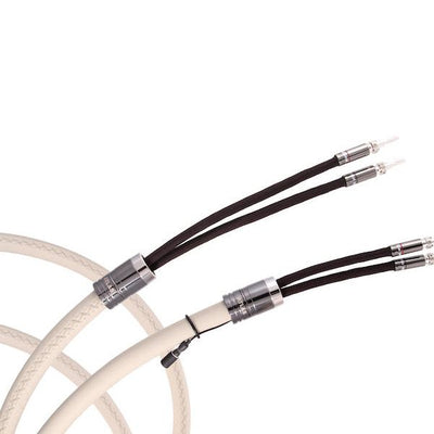 Atlas Asimi Luxe 2-4 Speaker Cable 2 x 1.0 mt at Audio Influence