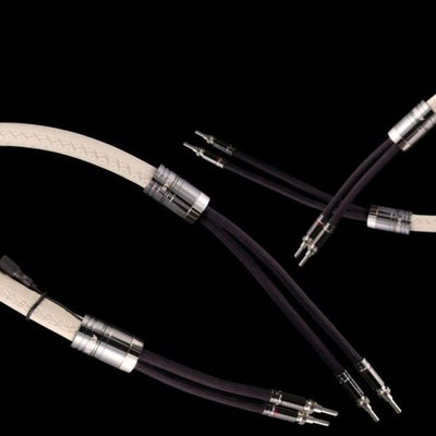 Atlas Asimi Luxe 2-4 Speaker Cable at Audio Influence