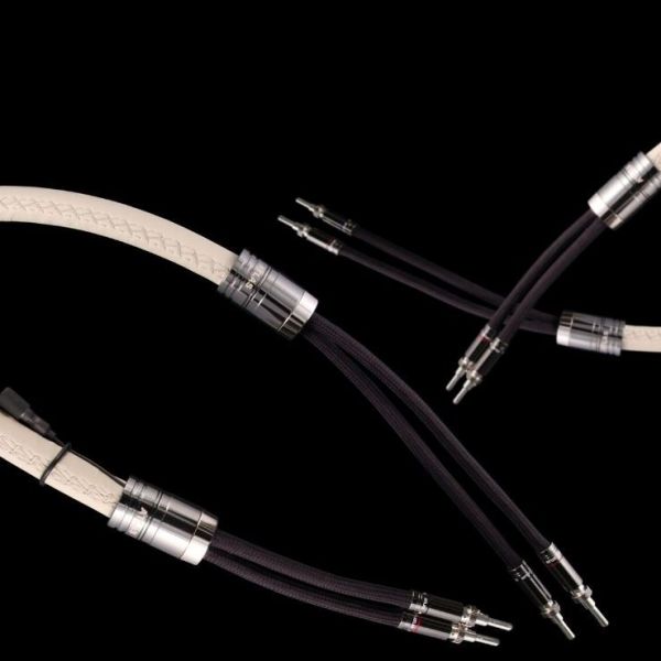 Atlas Asimi Luxe 4-4 Speaker Cable 2 x 1.0 mt at Audio Influence