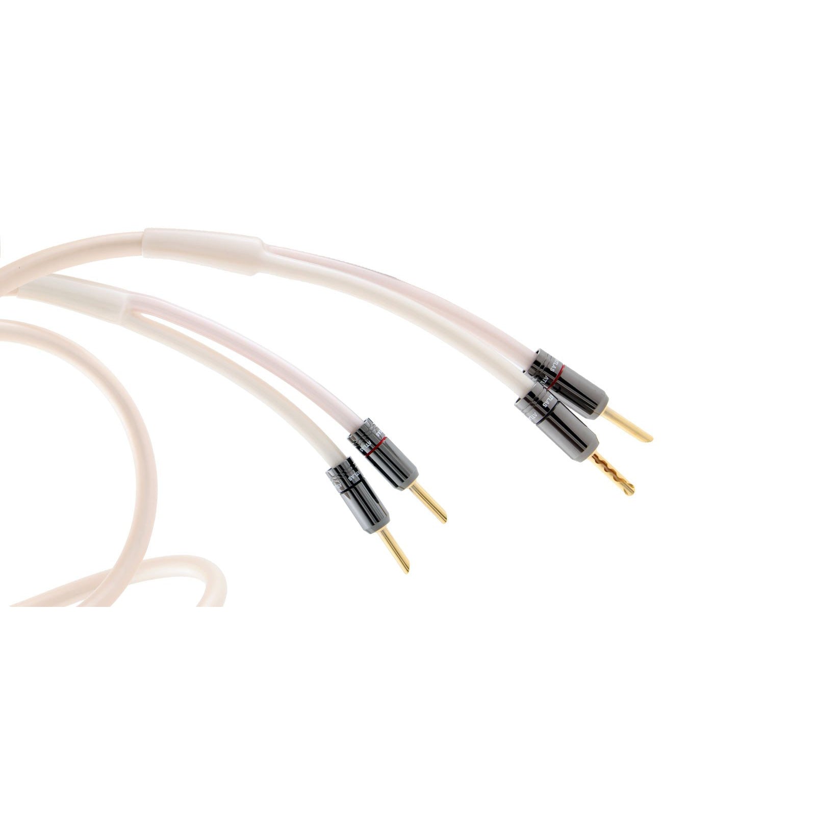 Atlas Equator 2.0 Speaker Cable (per meter) at Audio Influence